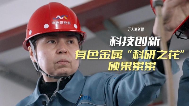 申报材料反复退回，问题究竟出在哪